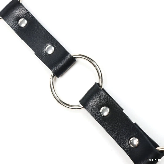 5853 Leash Anal EverydayUse Hook with Kinky Collar and 0806